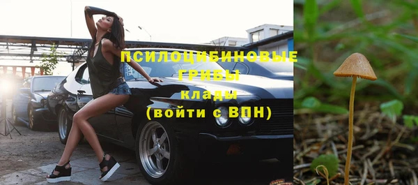 дживик Гусев