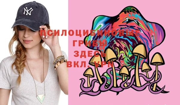 дживик Гусев