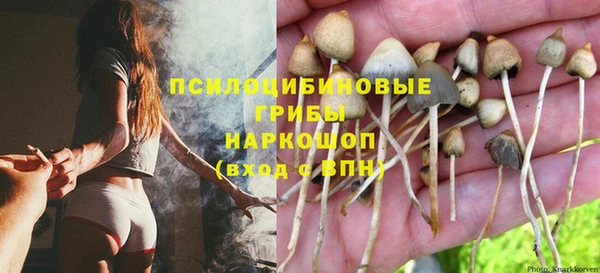 метадон Гусиноозёрск