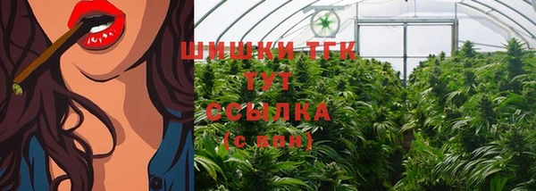 метадон Гусиноозёрск
