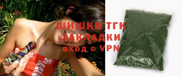 дживик Гусев