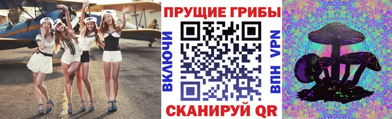 Купить  Серов  Галлюциногенные грибы Psilocybe 