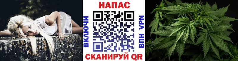 Купить где  Серов  Каннабис индика 